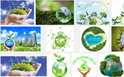 Sứ điệp Đức Thánh cha nhân Ngày Thế giới về môi trường