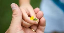 HĐGM Ý và Unicef hợp tác bảo vệ trẻ em trong đại dịch