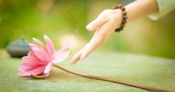 Chuyện đời - chuyện đạo (109)