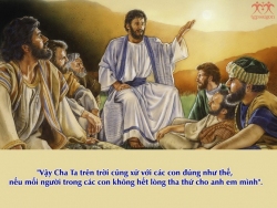 V 2017 CN24TN Forgive Mt18 21 35 12