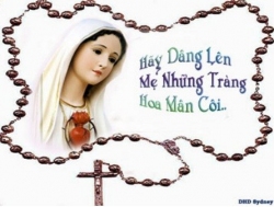 +07/10: Thứ Tư. Lễ Đức Mẹ Mân Côi