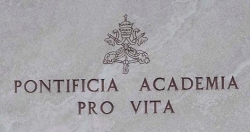 Hàn Lâm Viện Tòa Thánh về Sự sống thiết lập giải thưởng “Người bảo vệ sự sống”