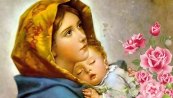 Học hỏi Phúc âm Lễ “Đức Maria, Mẹ Thiên Chúa” (Phần câu hỏi) - Lm Antôn Nguyễn Cao Siêu S.J