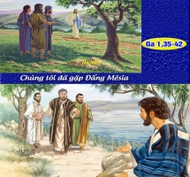TM