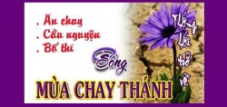 Vui học Thánh Kinh Chúa nhật 1 mùa Chay năm B