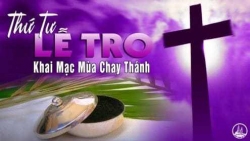 LE TRO 1 495x278 1