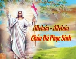 Sự Phục sinh là công trình của Ba Ngôi Cực Thánh theo cách nào?