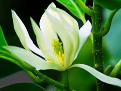Chuyện đời - chuyện đạo (124)