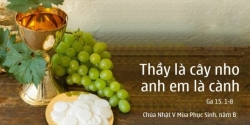Vui học Thánh Kinh Chúa Nhật V Phục Sinh B.