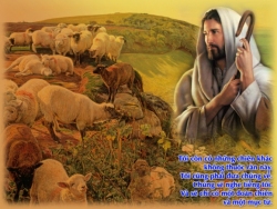 V 2015 CN4PS GoodShepherd Ga10 11 18 5