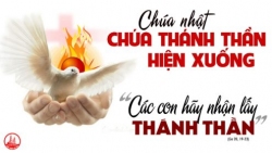 CN HIENXUONG2 495x278
