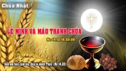 Suy niệm Chúa Nhật Lễ Mình Máu Thánh Chúa Kitô - năm B - Lm. Xuân Hy Vọng.