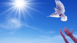 Đức Thánh Cha mời gọi các tín hữu bước đi trong hy vọng