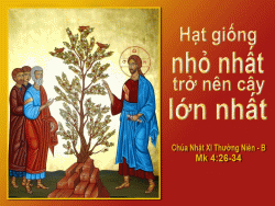Suy niệm Tin Mừng Chúa Nhật XI Thường Niên năm B - Lm Antôn Nguyễn Cao Siêu