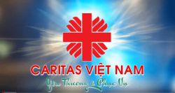 Thư Caritas - Tháng 7/2021: Chăm sóc ông bà và người cao tuổi