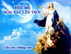 Học hỏi Phúc âm: Chúa Nhật XX Thường Niên B. Lễ Đức Mẹ hồn xác lên trời - Lm Antôn Nguyễn Cao Siêu