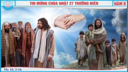 Cn27thb