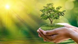 Chiến dịch 40 ngày cầu nguyện theo Laudato si'