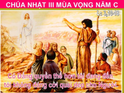 Chúng ta mang lại niềm vui cho thế giới khi sống theo chương trình của Thiên Chúa dành cho con người