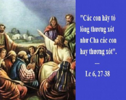 Vui Học Thánh Kinh Chúa Nhật VII Thường Niên C