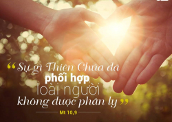 mot vai dac tinh cua hon nhan kito giao (1)