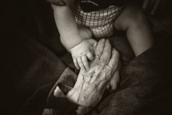 rod long y0OAmd COUM unsplash