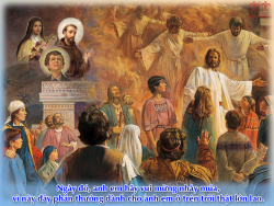 V 2019 CN6TN Beatitude Lc6 17 7