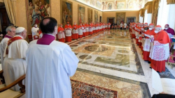 Đức Thánh cha chủ tọa Công nghị phong thánh