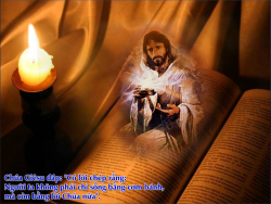 V 2016 CN1MC Temptation Lc4 1 13 5