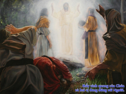 V 2016 CN2MC Transfi Lc9 28 36 6