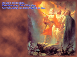 V 2016 CN2MC Transfi Lc9 28 36 7