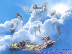 V 2016 CN2MC Transfi Lc9 28 36 9