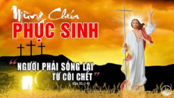 Suy niệm Chúa Nhật Phục sinh năm C - Lm. Inhaxio Hồ Thông