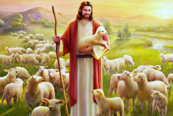 Suy Niệm CN 4 PS C. CN Chúa Chiên Lành - Lm GB Phạm Hồng Thái.