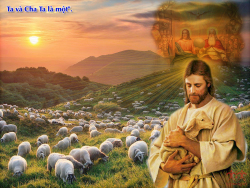 V 2016 CN4PS GoodShepher Ga10 27 30 6(1)