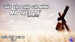 CN XXIII TN 1 1 495x278