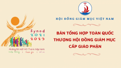 Bản tổng hợp toàn quốc cho Thượng Hội đồng Giám mục Cấp giáo phận