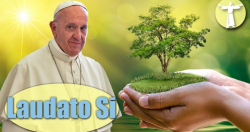 Học tập Thông điệp Laudato Si’ - Bài 10