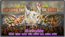 +02/11: Cầu cho các tín hữu đã qua đời (Lễ Các Đẳng)