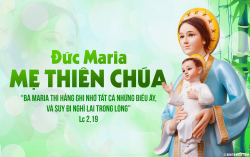 Học hỏi Phúc âm: Đức Maria, Mẹ Thiên Chúa