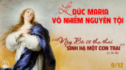Suy niệm Lễ Đức Mẹ Vô nhiễm Nguyên tội - Lm GB Phạm Hồng Thái.