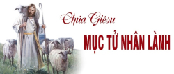 Học hỏi Phúc âm: Chúa nhật 4 Phục sinh năm A