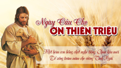 Cau cho on goi