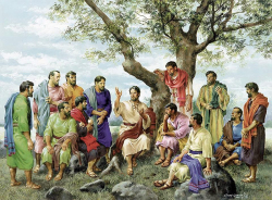 Suy niệm Lời Chúa, CN XII Thường Niên A - Lm Ga Phan Tiến Dũng