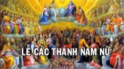 CTNN
