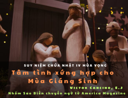 CN IV MVB