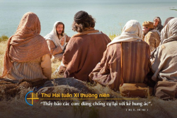 Suy niệm hằng ngày tuần XI Thường Niên - Lm. Gioan Phan Tiến Dũng