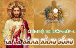 Thơ: Đến với Thánh Thể
