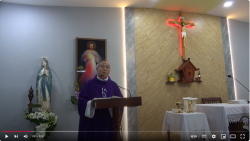 Video bài giảng: Vì yêu nên gánh nặng thành nhẹ | thứ Tư tuần 2 MV năm C | Lm. Mi Trầm