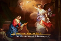 Suy niệm ngày 20 tháng 12 - Lm. Mi Trầm